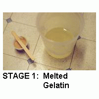 Click to see description of Foaming Sponge Gelatin!